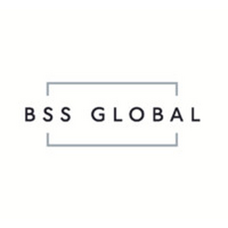 BSS Global 